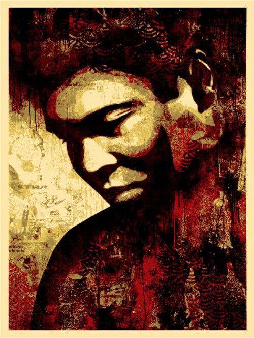 Shepard Fairey Prints in Mannheim zu sehen