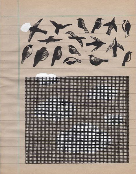 Jochen Gerner Ornithologie