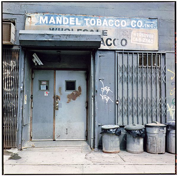 Zoe Leonard