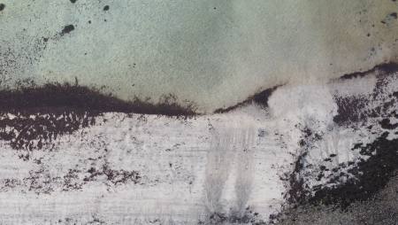 Intervention | INTO THE OCEANIC  Conversation with Our Ocean Ausstellung Bonn