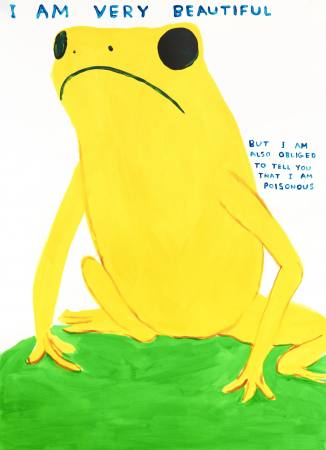 David Shrigley - I Am Very Beautiful - Yellow Frog Ausstellung Nuernberg