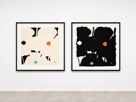 Donald Sultan White Poppies with Colors - neue 2026 Edition ver�ffentlicht Ausstellung Nuernberg