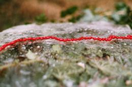 "Verabredung mit dem Augenblick" Kunstraum Natur � der photographische Blick auf LandArt