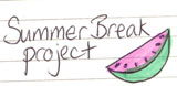 Summer Break Project