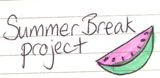 Summer Break Project Ausstellung Berlin
