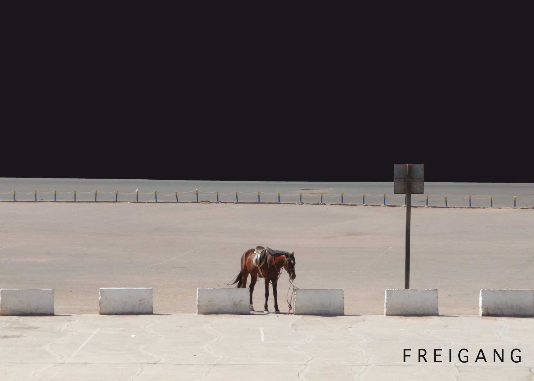 Freigang