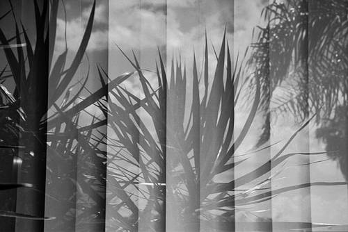 [Ausstellung] Astrid Nippoldt. Patterns of Paradise