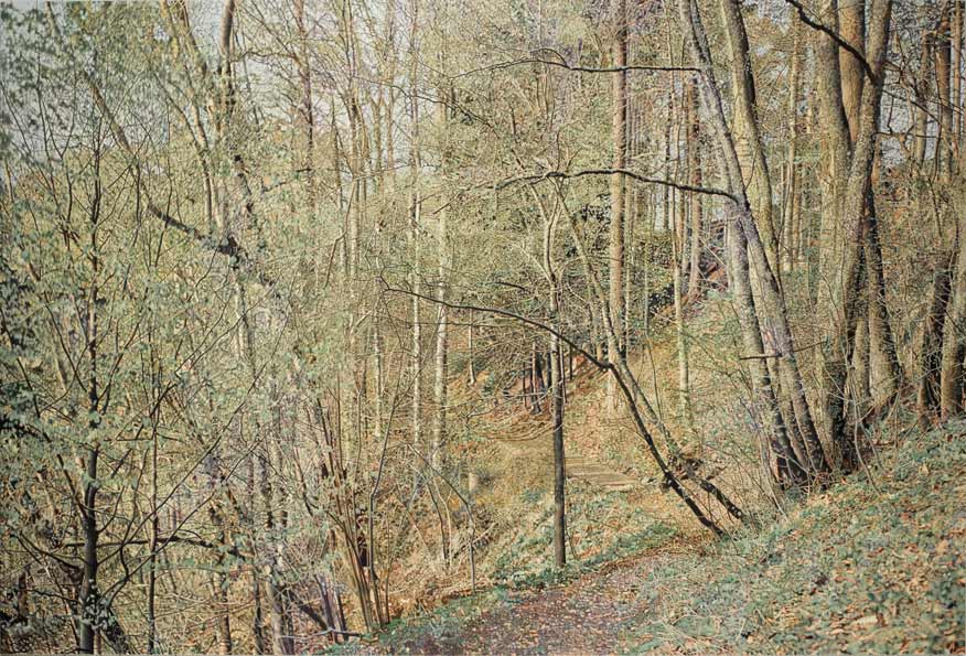 Franz Gertsch. Die vier Jahreszeiten Ausstellung Burgdorf