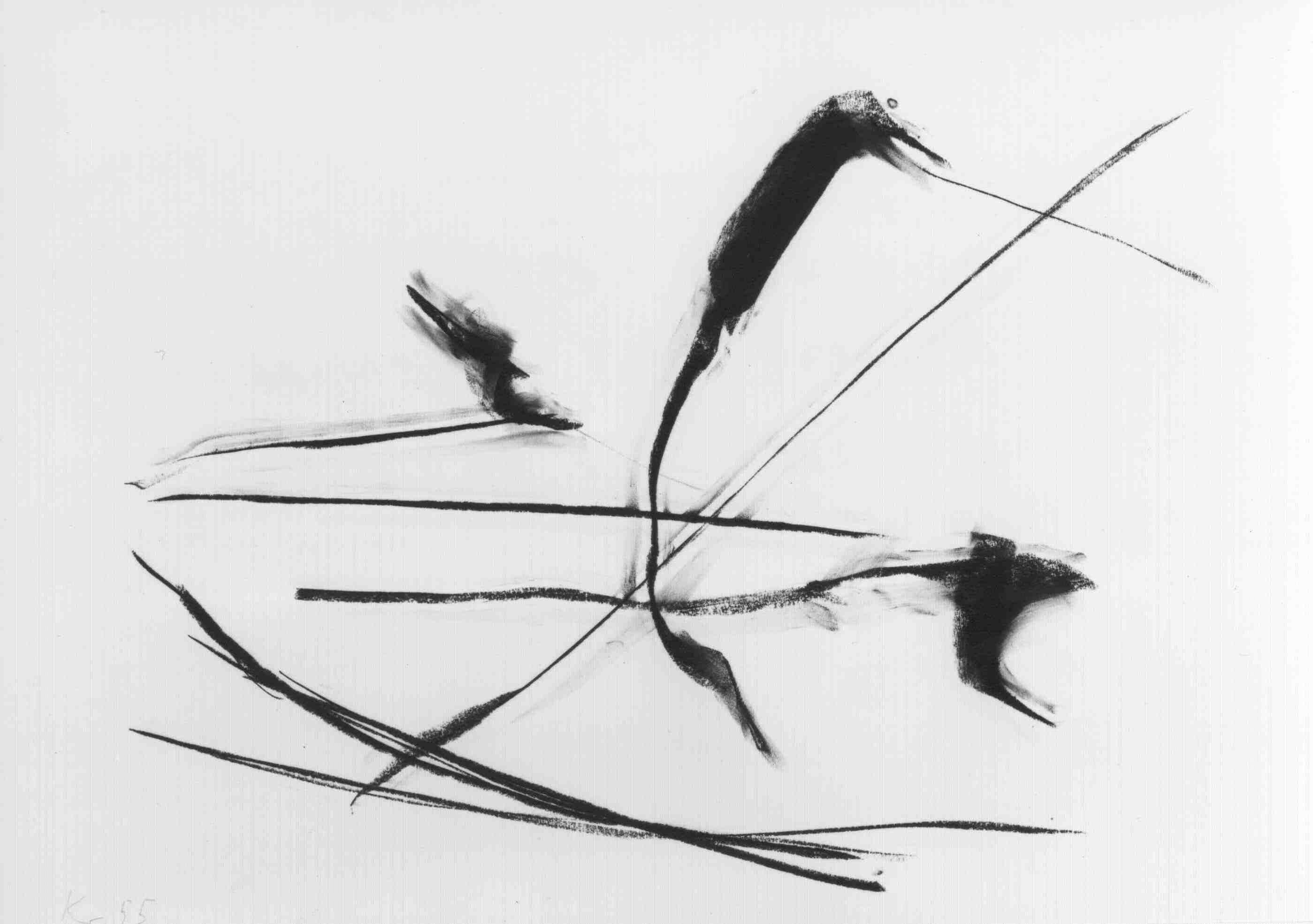 "Nach Strich und Faden - zur Linie in der Kunst der Gegenwart"