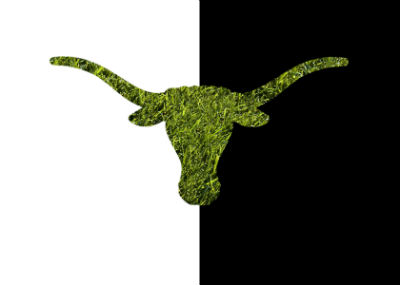 Rasentexas
