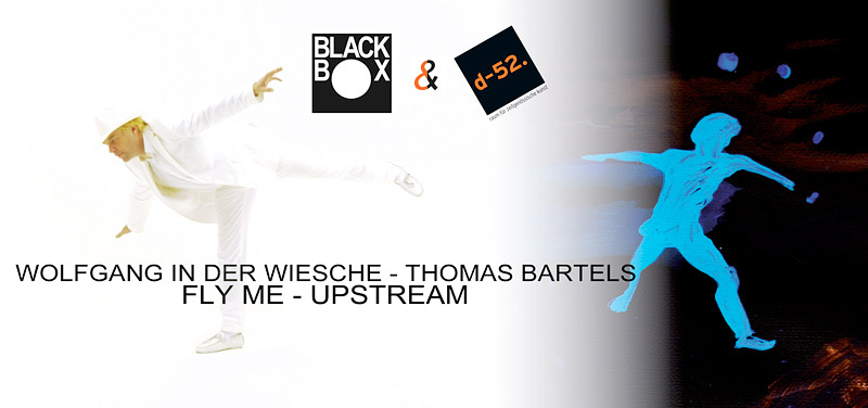 KINO zur Ausstelllung | WOLFGANG IN DER WIESCHE | FLY ME - UPSTREAM 