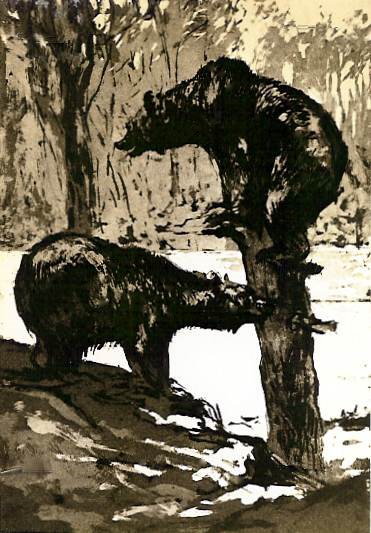Wilde Tiere