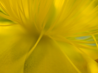 Kunst mit Herz