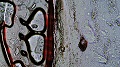 [Chrono]Skopie