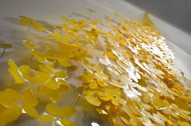 Katy Stone "Yellow Light Black"
