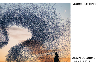 Murmurations