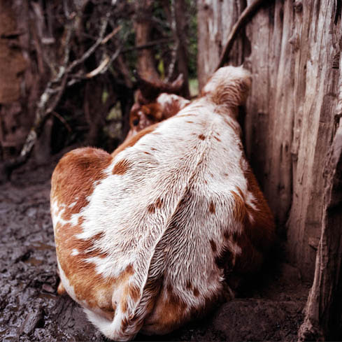 Close up Ethiopia , eine Fotoausstellung Ausstellung Berlin