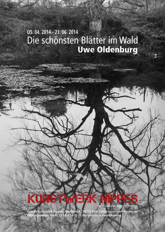 Die sch�nsten Bl�tter im Wald 
