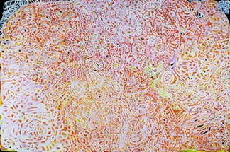 Contemporary Aboriginal Art - Wanderausstellung Pro Community - Eastern APY Lands 