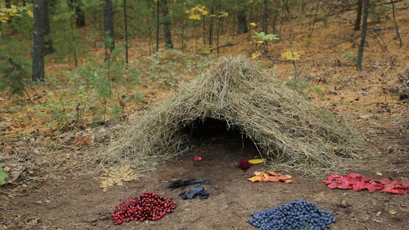 EIN NATURALISTISCHES WELTBILD