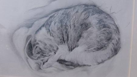 Ulrike Zebisch-ein Leben voller Bilder Ausstellung Wernstein