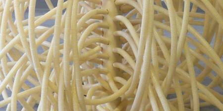 Invasive Raumdrainage