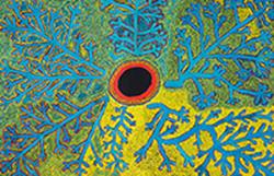 WO DAS STACHELKOPFGRAS W�CHST...