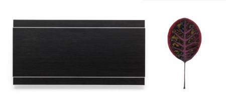 Doppelausstellung: FRANK GERRITZ - Perfect Example und MANFRED HOLTFRERICH - Bl�tter