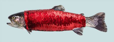 warum schwimmen fische nackt?