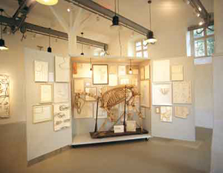 Lieder f�r ein Zimmer ohne Aussicht. Raum der Zeichnung Ausstellung Wuppertal