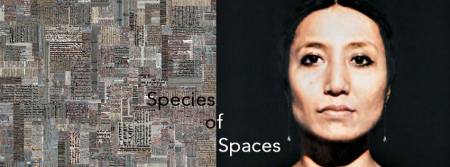 Species of Spaces