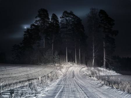 Lichtblicke | Zeitgenssische finnische Fotografie Ausstellung Potsdam