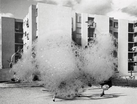 Tapping on Windows, knocking on Walls | Wim Bosch (Groningen) 
