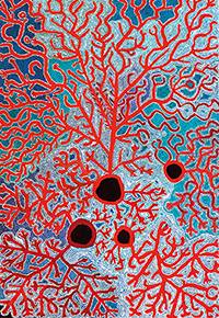 NGURA NINTI  - Knowing Country