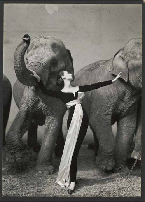 Richard Avedon Ausstellung Berlin Ausstellung Berlin