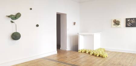 Dynamic Connections and Interior Landscapes