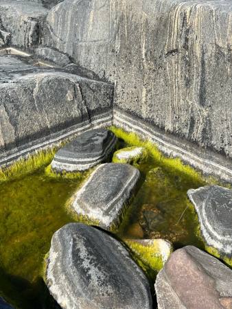 Becoming Landscape Ausstellung Bonn