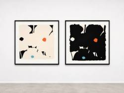 Donald Sultan White Poppies with Colors - neue 2026 Edition ver�ffentlicht