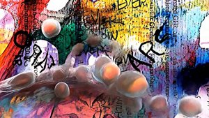 B Cell City