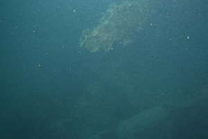 Fischen lauschen. Beginning of Data Transmission from the Arctic Sea (Listening to Fishes)