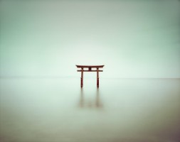 Landschaft - Solitude und Katharsis