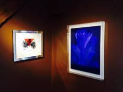 ZERO - ARTHERB meets Stedelijk Museum