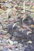 sassi die fiume e trasparenze 