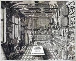 WUNDERKAMMER