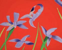 Alex Katz Flowers - Purple Irises und Yellow Flags 2023 - Ausstellung - Ausstellung Nuernberg