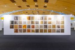 Ausstellung Mario Reis – Retrospektive (anlässlich zu seinem 70. Geburtstag)
