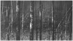 kontrastreich - Ausstellung Berlin