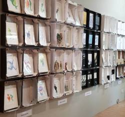 Kunst im Karton - Die kleinformatige erschwingliche Kunstmesse im Berliner Wedding