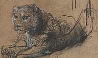 Rembrandt Zeichnung von jungen L�wen erzielt Rekordpreis