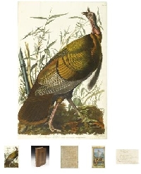 Das teuerste Buch der Welt - Birds of Amerika